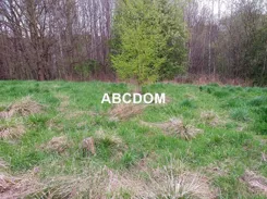364760235 - zdjęcie nr 1