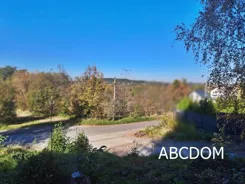388650235 - zdjęcie nr 3