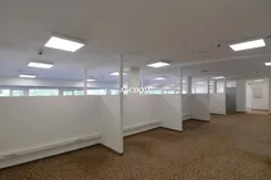 372930235 - zdjęcie nr 3