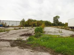 393210235 - zdjęcie nr 1