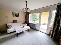 403040235 - zdjęcie nr 1