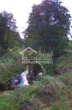LOK21695 - zdjęcie nr 1