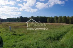 LOK21695 - zdjęcie nr 2