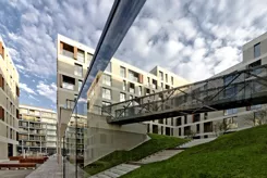 19. Dzielnica - lokale użytkowe - zdjęcie nr 3