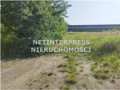 NET-GS-1929 - zdjęcie nr 2