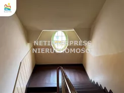 NET-MS-1793 - zdjęcie nr 1