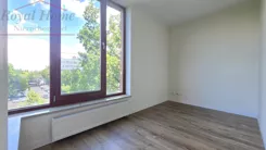 2436L - zdjęcie nr 4