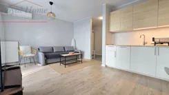 2459 - zdjęcie nr 4