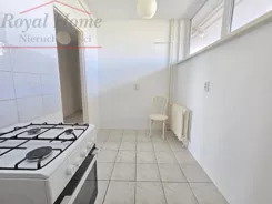 2449 - zdjęcie nr 4