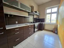 2431 - zdjęcie nr 4