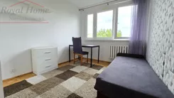 2353 - zdjęcie nr 3