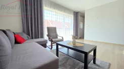 2441 - zdjęcie nr 3