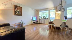 2463 - zdjęcie nr 2