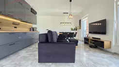 2447 - zdjęcie nr 3