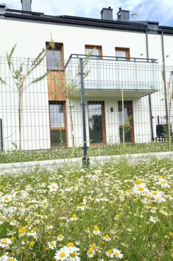 Szeregowiec pod Jesionem - zdjęcie nr 3
