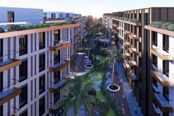 Palm Paradise - zdjęcie nr 5