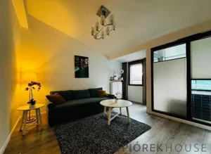 Mieszkanie dwupokojowe 54,00 m², Warszawa, Wola, Pańska, Sprzedaż