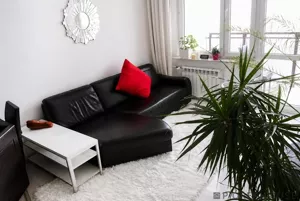 Mieszkanie dwupokojowe 47,00 m², Warszawa, Praga Południe, Tarnowiecka, Sprzedaż