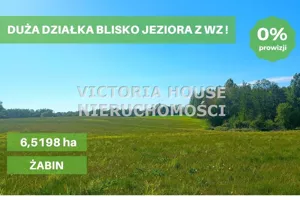 Działka 65 193,00 m², Banie Mazurskie, Sprzedaż