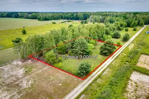 Działka 3 000,00 m², Boryszew, Calineczki, Sprzedaż