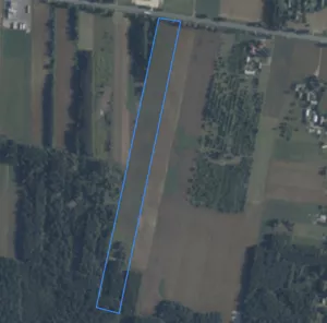 Działka 49 008,00 m², Jagodne, Sprzedaż