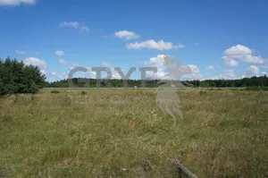 Działka 3 010,00 m², Kobylnica, Sprzedaż