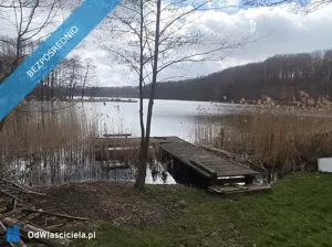 Działka 13 280,00 m², Liniewo, brak, Sprzedaż