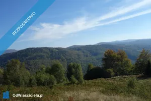 Działka 25 300,00 m², Brenna, Sprzedaż