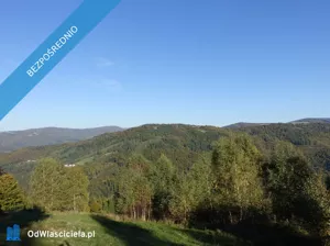 Działka 25 300,00 m², Brenna, Sprzedaż