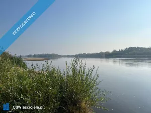 Działka 5 000,00 m², Brzumin, Sprzedaż