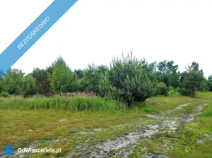 Działka 1 200,00 m², Krzaki Czaplinkowskie, Główna, Sprzedaż