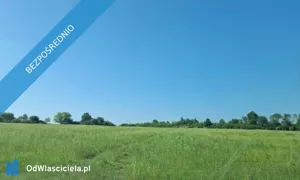 Działka 3 000,00 m², Gorzanów, Sprzedaż