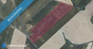 Działka 71 447,00 m², Jarząbkowice, Sprzedaż