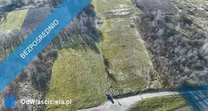 Działka 41 359,00 m², Łęki Dukielskie, Sprzedaż