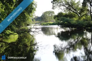 Działka 4 000,00 m², Lipie, Sprzedaż