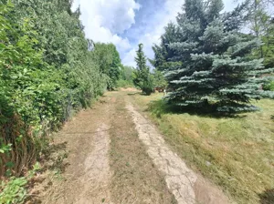 Działka 814,00 m², Przytok, LUBUSKA 51, Sprzedaż