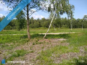 Działka 1 214,00 m², Mrozy, Sprzedaż