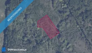 Działka 3 001,00 m², Pręgowo, Sprzedaż