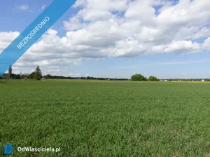 Działka 11 500,00 m², Skoczów, Sprzedaż