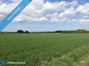 Działka 11 500,00 m², Skoczów, Sprzedaż