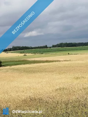 Działka 25 000,00 m², Sokółka, Sprzedaż