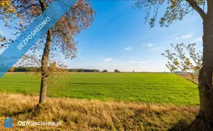 Działka 3 033,00 m², Stawek, Sprzedaż