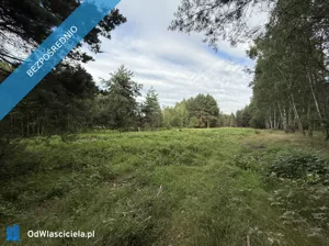 Działka 2 450,00 m², Stobierna, Sprzedaż