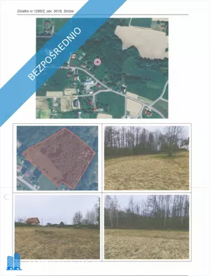 Działka 6 504,00 m², Stróże, Sprzedaż