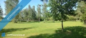 Działka 2 000,00 m², Szczechy Małe, Sprzedaż
