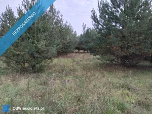 Działka 1 113,00 m², Krzyżówka, Wiejska, Sprzedaż