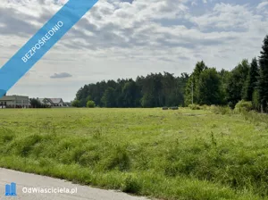 Działka 22 045,00 m², Nadarzyn, Żółwińska, Sprzedaż
