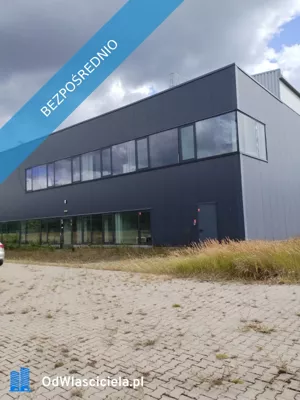 Obiekt 63 300,00 m², Łowyń, Sprzedaż