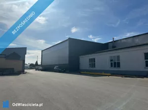 Magazyn 690,00 m², Twierdza, Wynajem