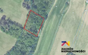 Działka 3 500,00 m², Dąbrowa, Sprzedaż